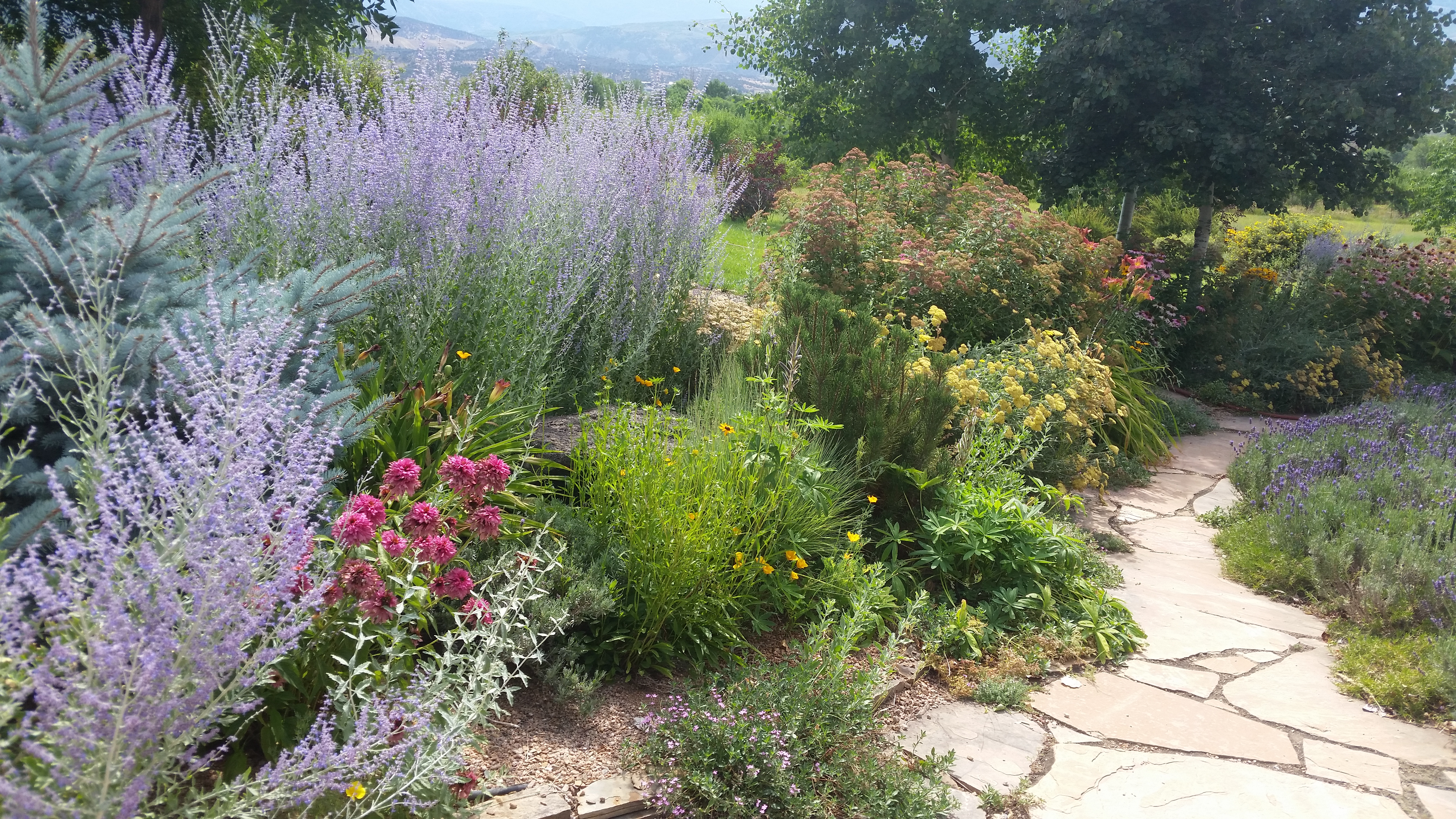 We provide all kinds of Landscaping Serivices