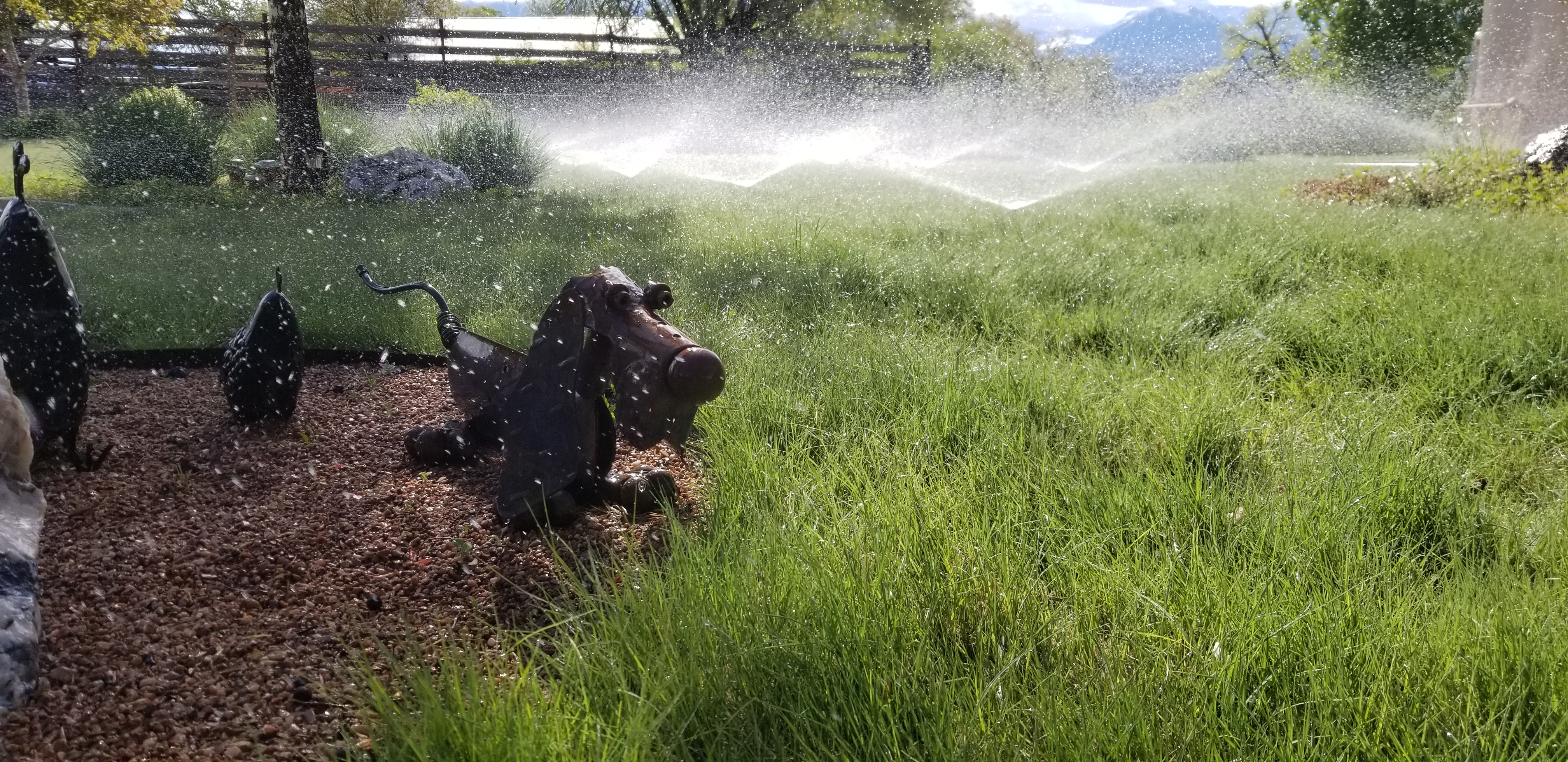 Sprinkler Systems - They water our enviroment!