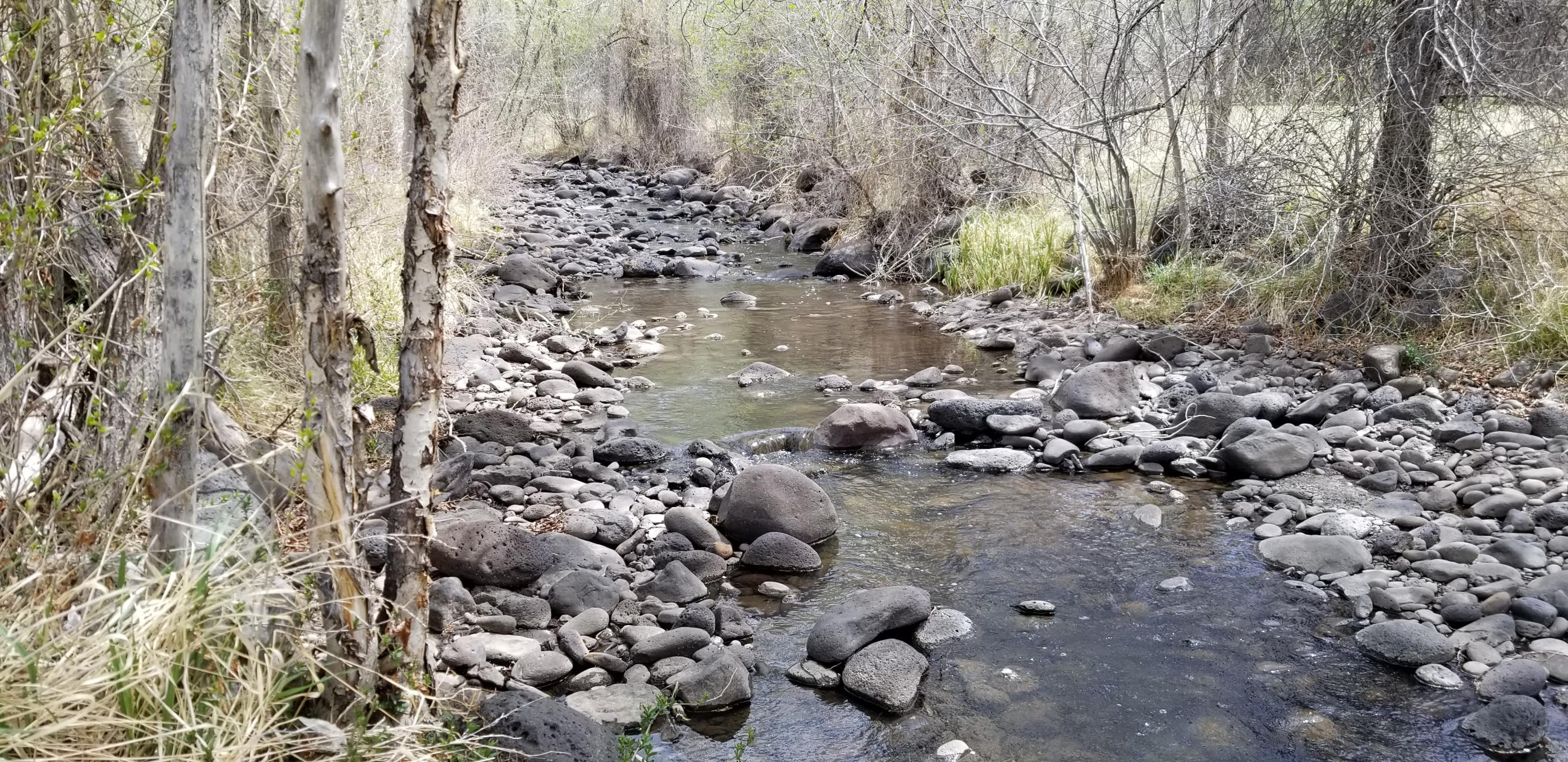 The Smith Fork coming from Crawford