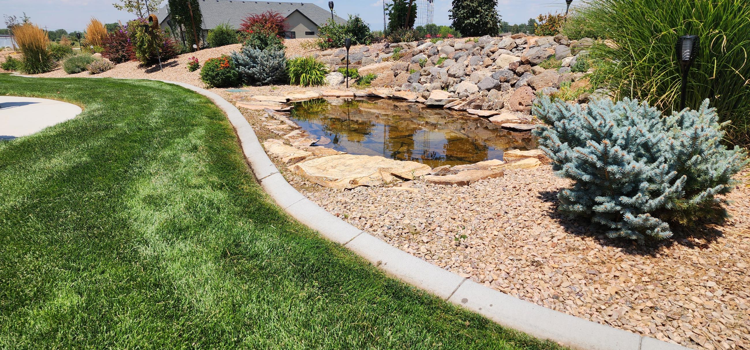 A pond and waterfall East of Montrose