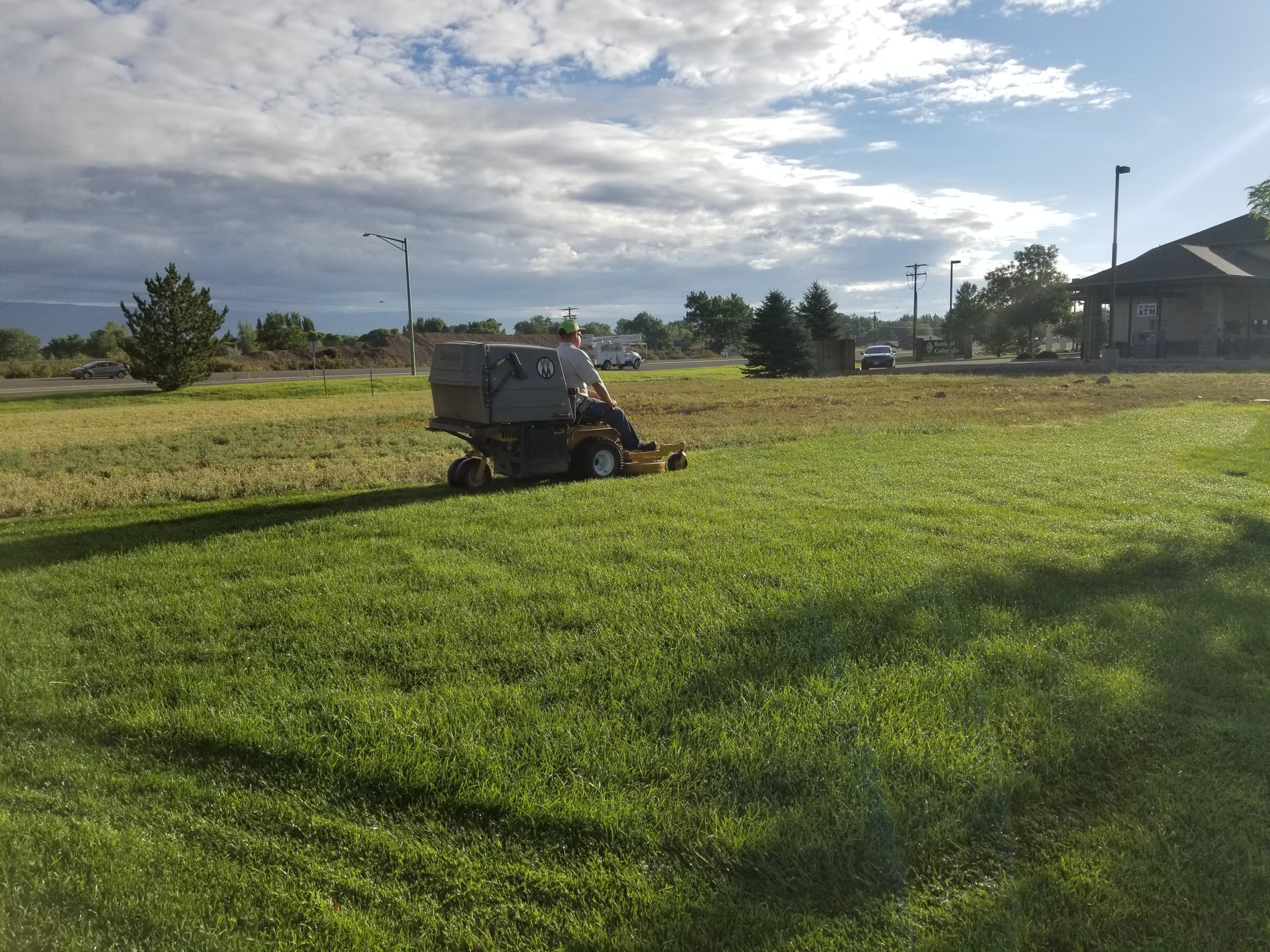 Mowing