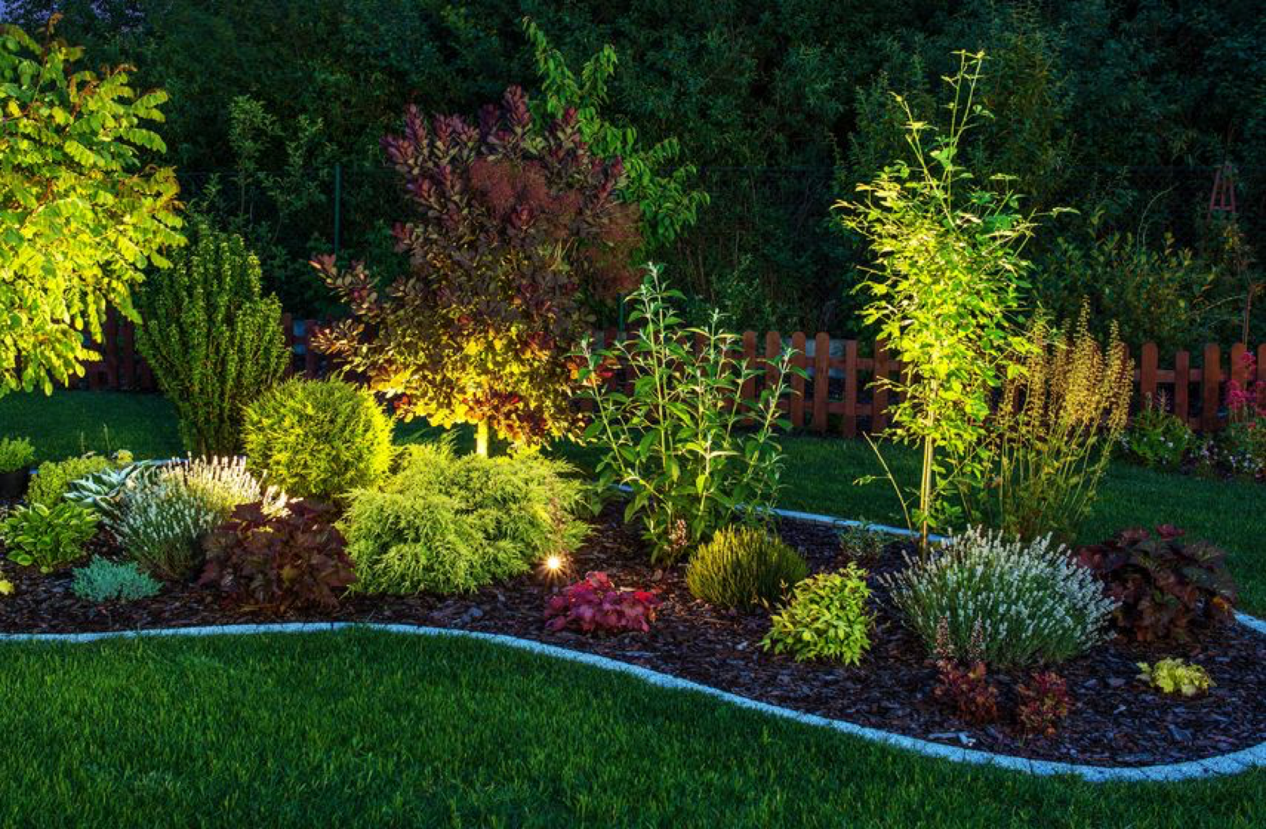 Tree & Shrub Planting