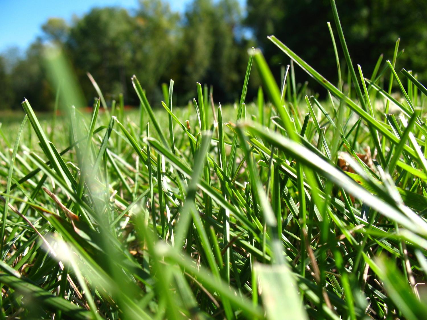 Fertilizing