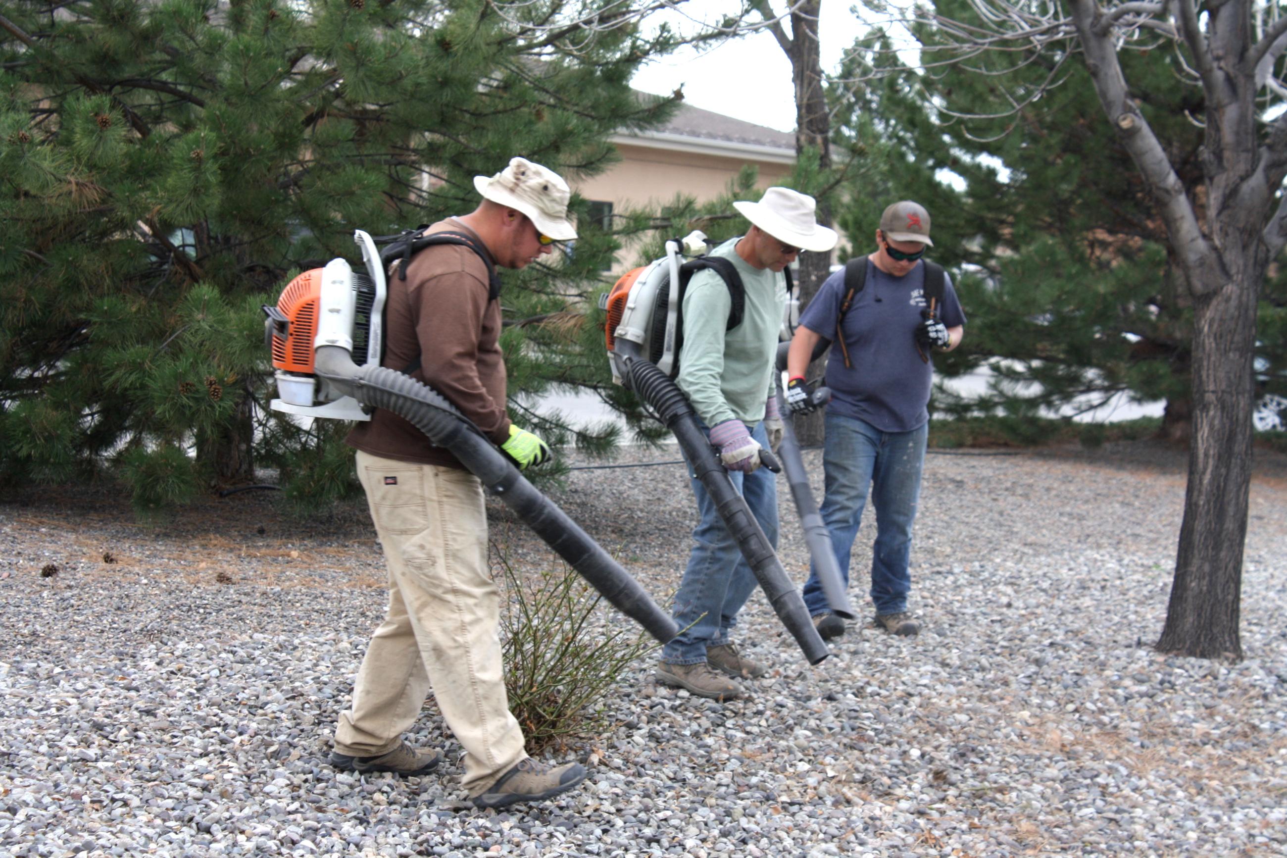 Yard Cleanup