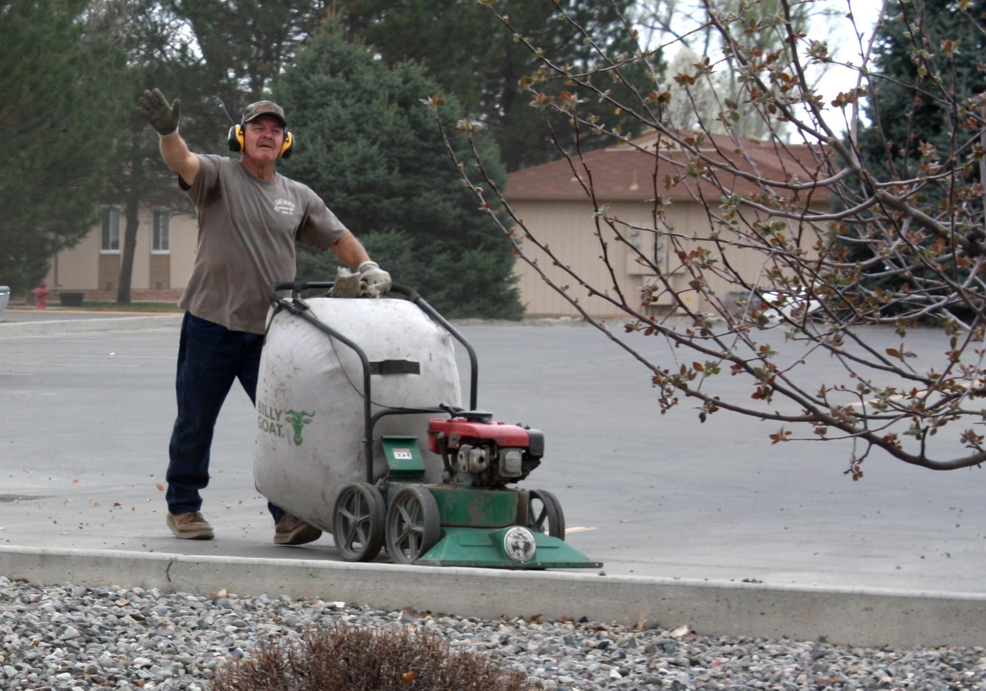 Yard Cleanup