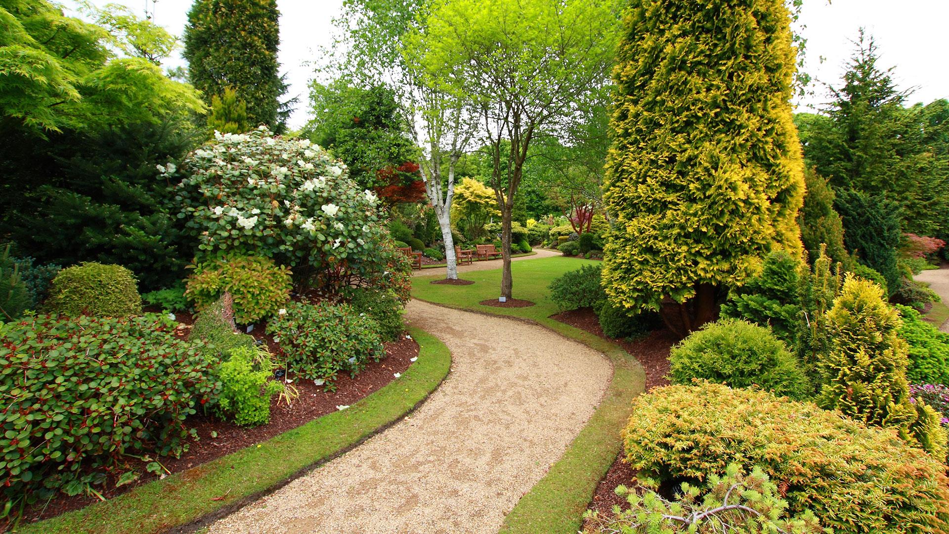 Pruning