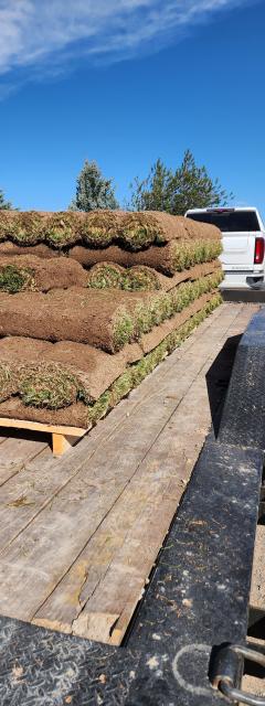Hauling some sod
