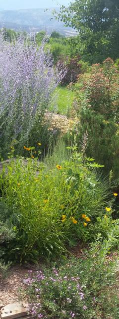 We provide all kinds of Landscaping Serivices