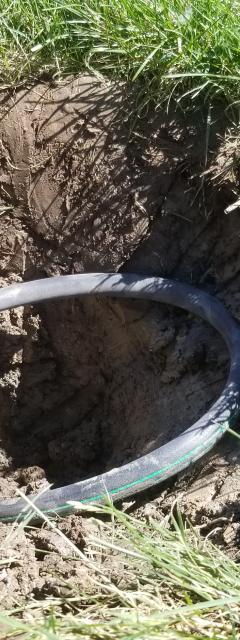 Sprinkler System Repair of a 1804 sprinkler
