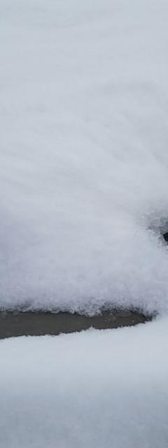 Winterization of Your Sprinkler System