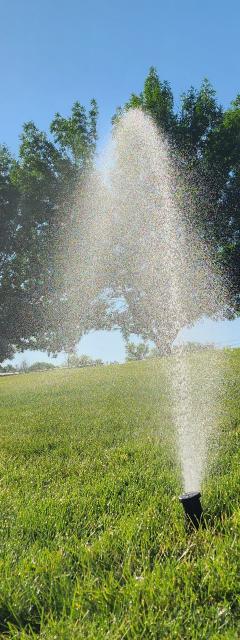 Sprinkler running