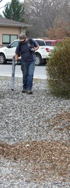 Full-Service General Yard Clean Up