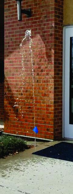 Sprinkler System Check Ups