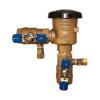 Pic of a 2" Zurn Wilkins Pressure Vacuum Breaker Assembly - 720A