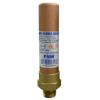 1" FNW® Male NPT Water Hammer Arrestor